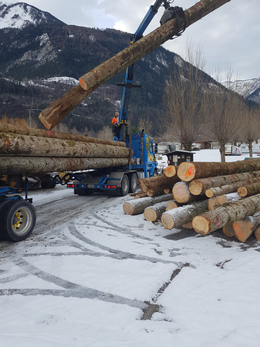 Neubau und Umbau Rezeption/Buvette (2020)