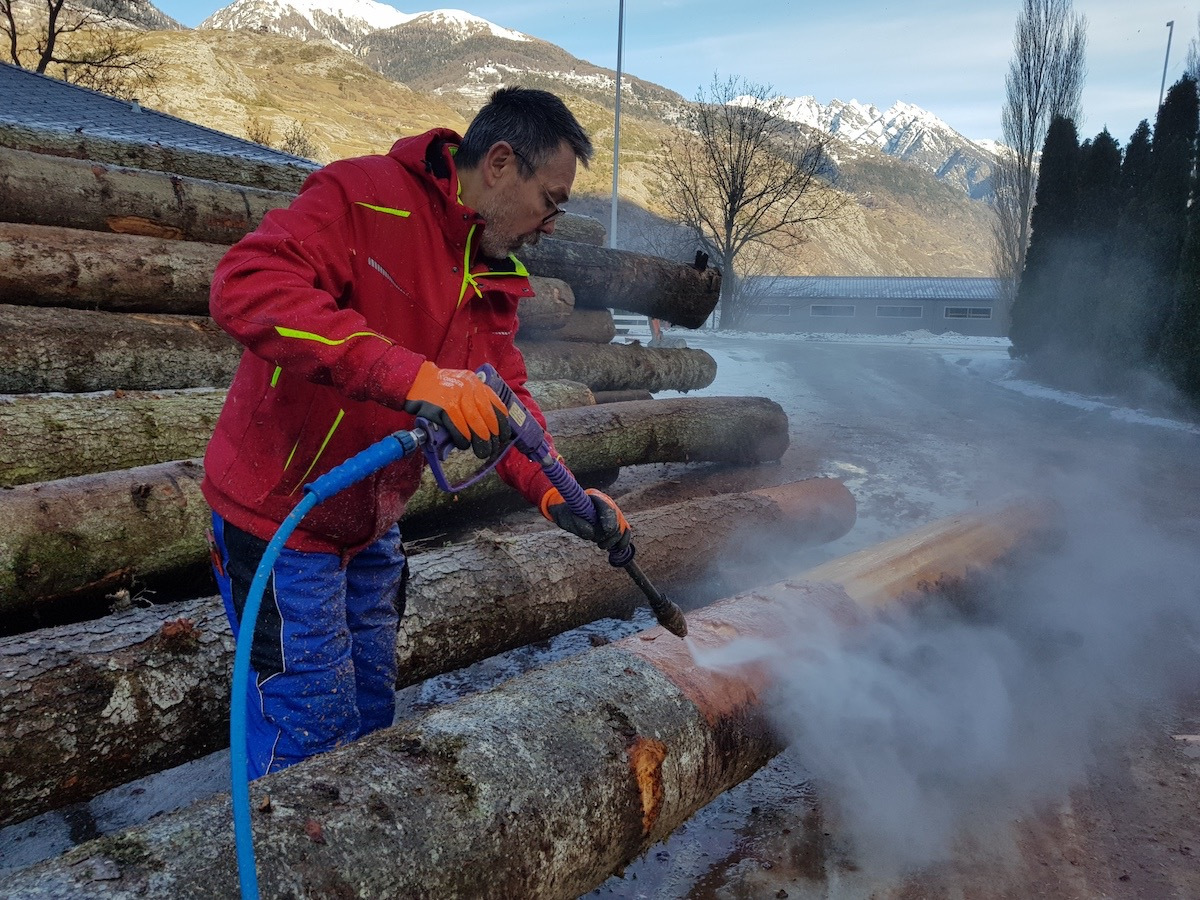 Baumstämme entrinden fürs Blockhaus (2020)