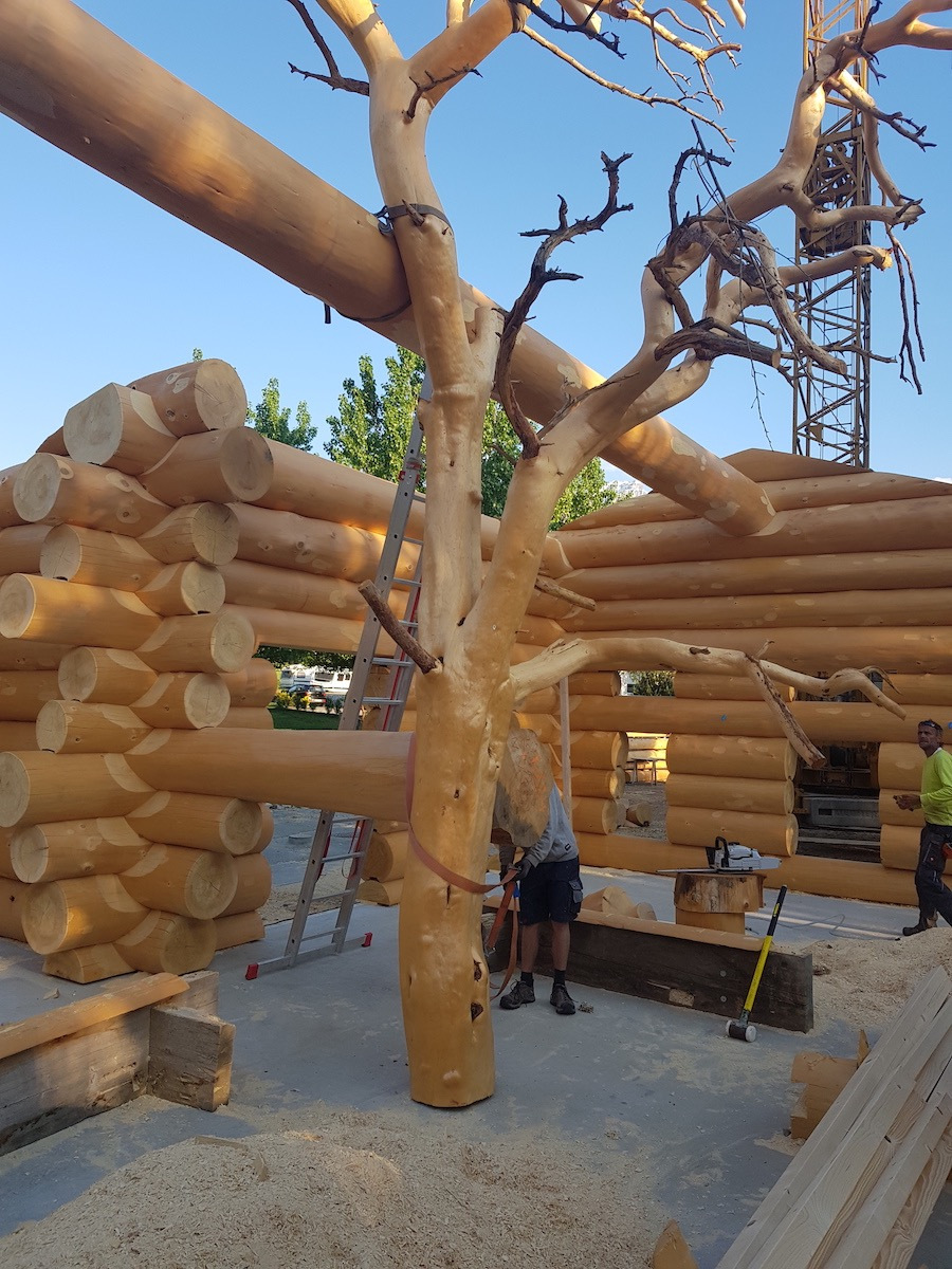 Neubau und Umbau Rezeption/Buvette (2020)