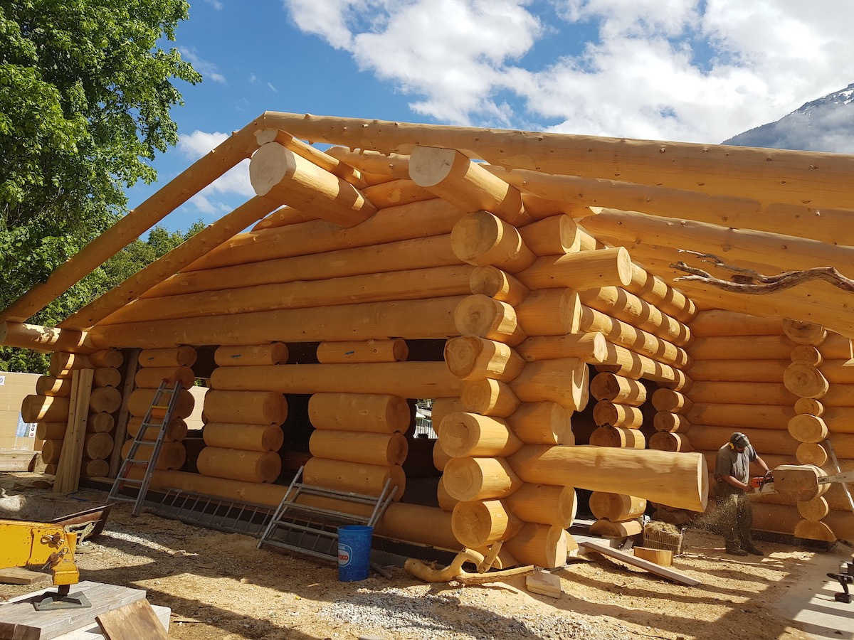 Neubau und Umbau Rezeption/Buvette (2020)