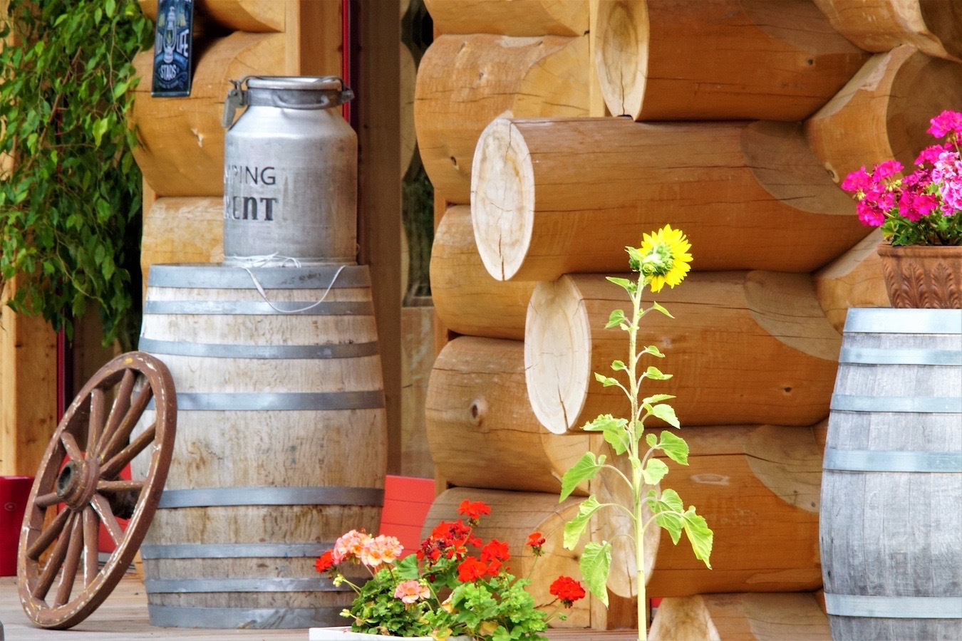 Neubau und Umbau Rezeption/Buvette (2021)