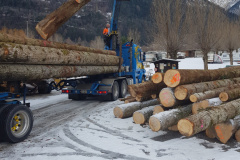 Anlieferung Holz  (Januar 2020)